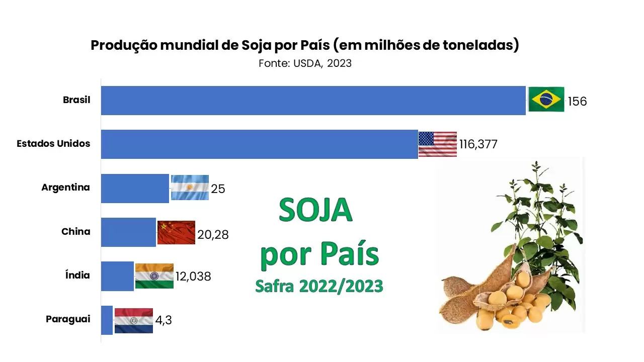 agropecuária: imagem de um gráfico de produção de soja indicando o Brasil.