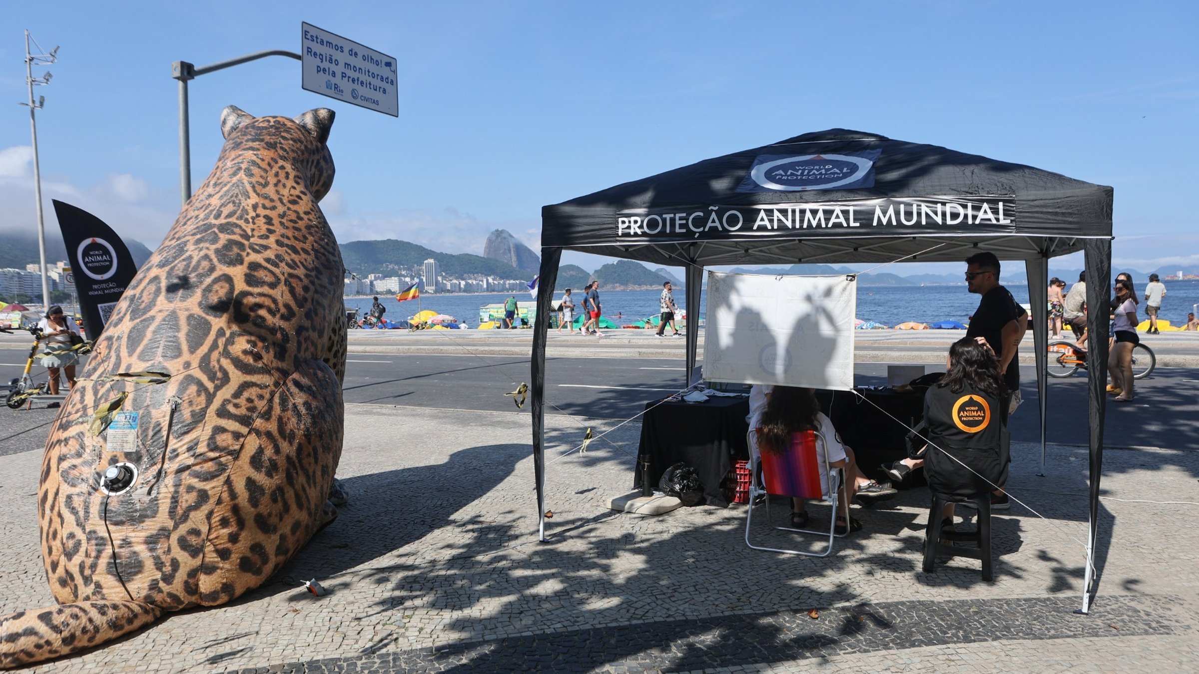 Onça inflável no Ponto Animal Copacabana - foto Reginaldo Teixeira