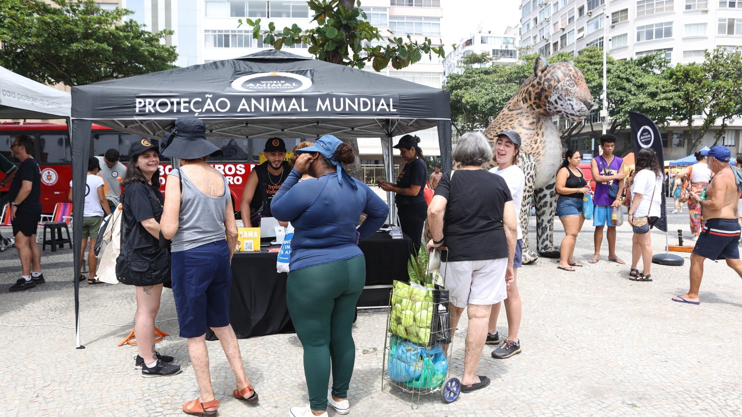 Ponto Animal Copacabana - Coleta de assinaturas para o Manifesto - Foto Reginaldo Teixeira